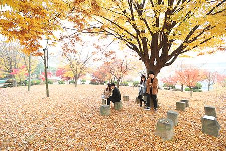 천안캠퍼스 가을 모습 