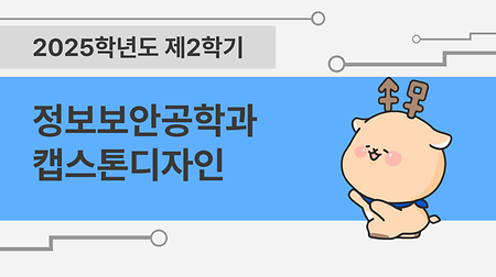 [2025-2] 고신뢰성 DGA 탐지 모델 개발 (안재연, 강민석, 도정민, 변정민) 이미지