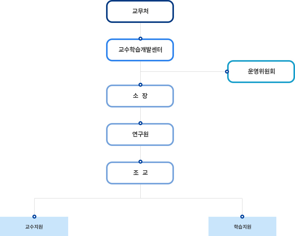 '교무처-교수학습개발센터-운영위원회, 소장-연구원-조교-교수지원, 학습지원