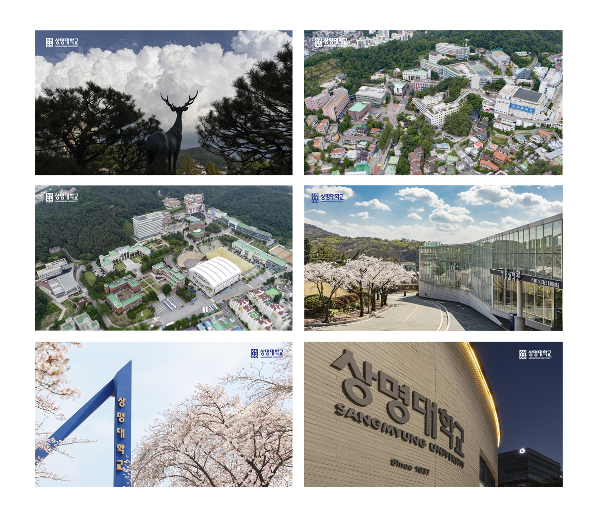 대학전경 배경화면